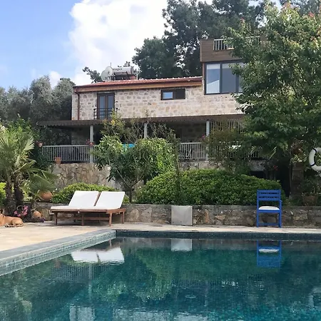 Villa Gebze Sleeps 11 With Pool And Air Con Yenikoy (Bodrum)
