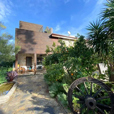 Villa Gebze Sleeps 11 With Pool And Air Con Yenikoy (Bodrum)